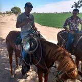 Danielalexae2Y from Progreso | Man | 24 years old | Sagittarius