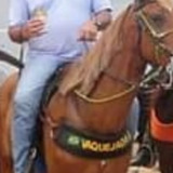 Heliosegal19Y from Propria | Man | 66 years old | Scorpio