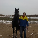 Olehenriksvp from Holbaek | Man | 61 years old | Scorpio