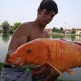 Enrico from Resana | Man | 32 years old | Capricorn
