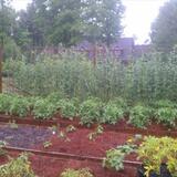 Farrell from Lynbrook | Man | 54 years old | Capricorn