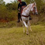 Bmendonca1Pj from Barra do Corda | Man | 25 years old | Sagittarius