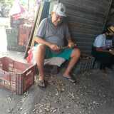 Jairsalesdon2K from Alagoinhas | Man | 77 years old | Sagittarius