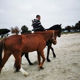 Riccardo90Meg from Cagliari | Man | 38 years old | Capricorn