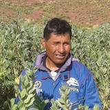 Papi from Challapata | Man | 25 years old | Taurus
