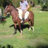 Viniciusiqlg from Candelaria | Man | 34 years old | Sagittarius