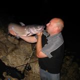 Lowell from Glen Carbon | Man | 38 years old | Gemini