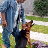 Padronavelin3Z from San Luis de la Paz | Man | 58 years old | Aries