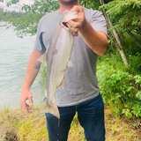 Paulsaltsman2B from Fair Oaks | Man | 42 years old | Sagittarius