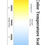 Loda from Dholka | Man | 24 years old | Scorpio