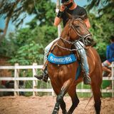 Carlosdanieli3 from Itabaiana | Man | 25 years old | Sagittarius