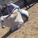Juanmanuellohr from El Colomo | Man | 42 years old | Sagittarius