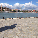 Hold from Budapest | Man | 69 years old | Leo