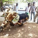 Seniramx2 from Jeddah | Man | 42 years old | Capricorn