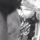 Murk from Ridderkerk | Man | 40 years old | Gemini