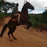 Adilsonlisbojl from Francisco Sa | Man | 26 years old | Sagittarius